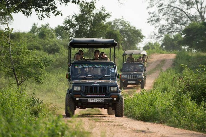 Udawalawa National Park Safari from Colombo (Budget Car with A/C) - Photo 1 of 3